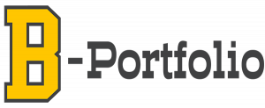 B-Portfolio Logo